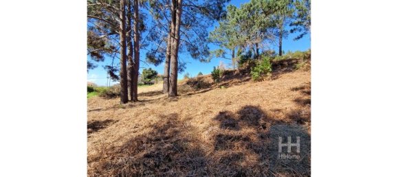 Grundstück in Calheta, Portugal 990m², Nr. 206958 35