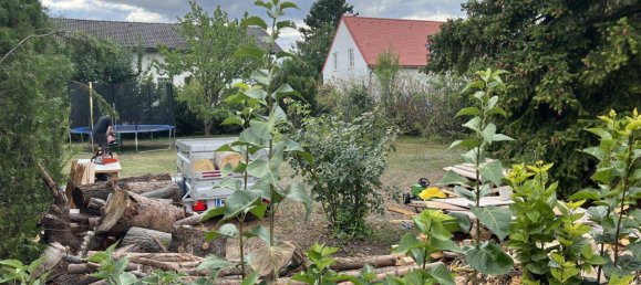Terreno em Matzendorf-Holles, Austria N.º 85999 5