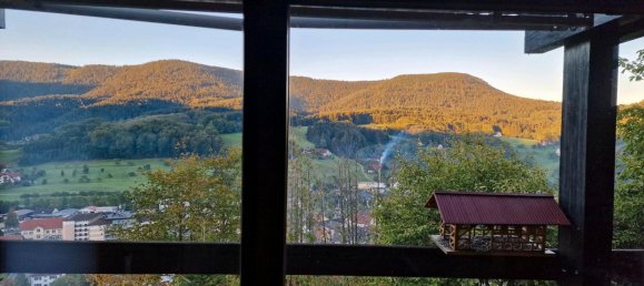 4 bedrooms House in Ortenaukreis, Germany No. 259576 6