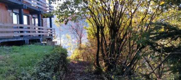 4 bedrooms House in Ortenaukreis, Germany No. 259576 2