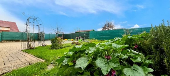 Casa de 4 dormitorios en Surbourg, France No. 49524 4