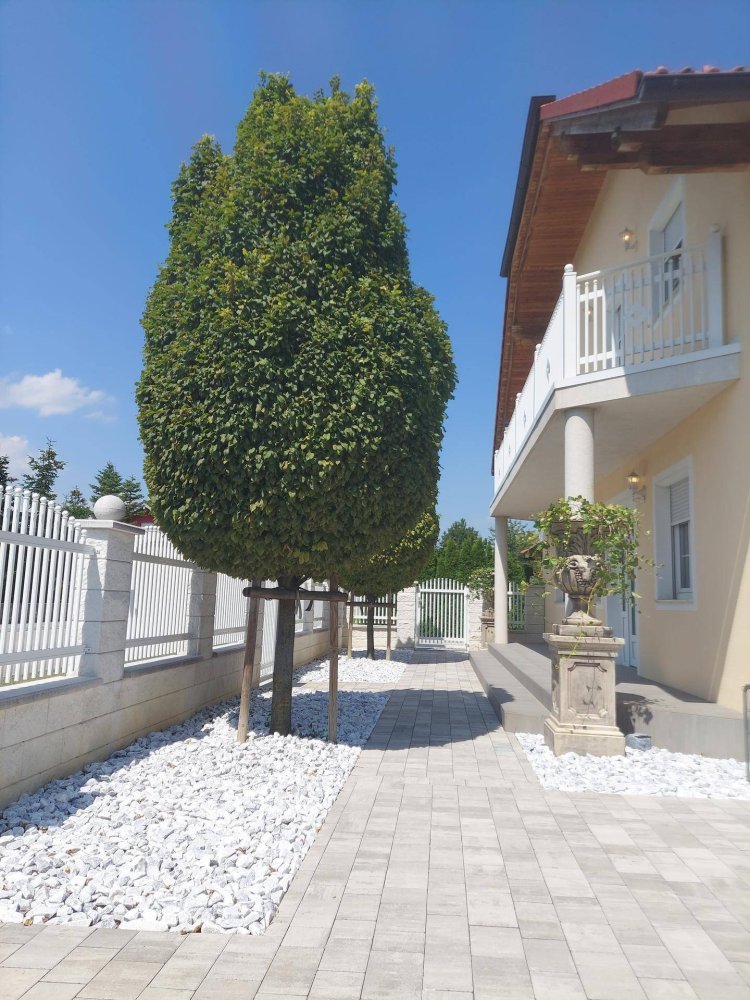 7-Zimmer Villa in Draßburg, Austria, Nr. 241099