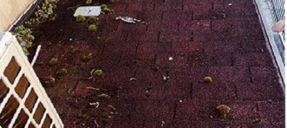 5 rooms Apartment in Piombino Dese, Italy No. 11260 21