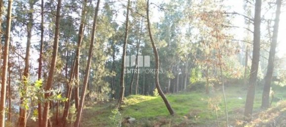 640m² Land in Marco de Canaveses, Portugal No. 173147 5