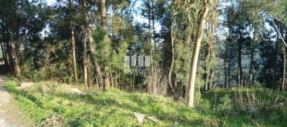 640m² Land in Marco de Canaveses, Portugal No. 173147 2
