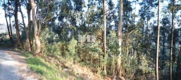 640m² Land in Marco de Canaveses, Portugal No. 173147 3