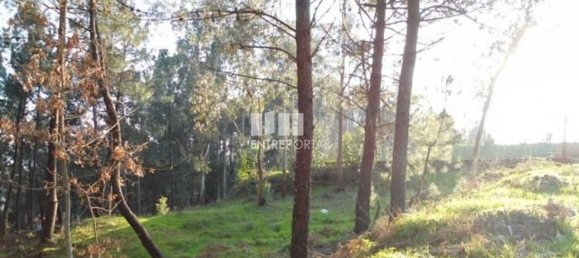 640m² Land in Marco de Canaveses, Portugal No. 173147 4