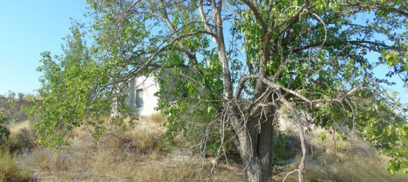 Terreno en Murcia, Spain No. 166401 5