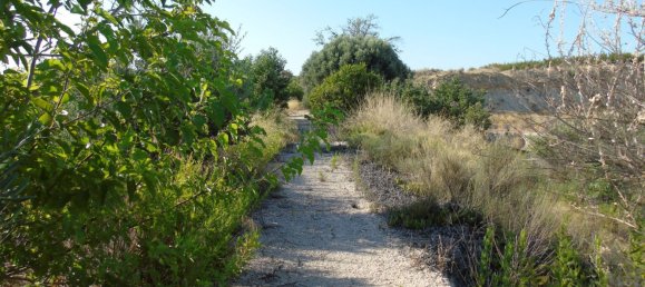 Terreno en Murcia, Spain No. 166401 21
