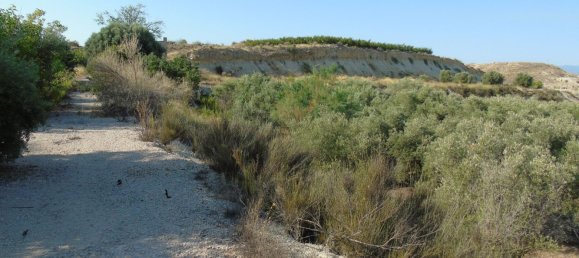 Terreno en Murcia, Spain No. 166401 20