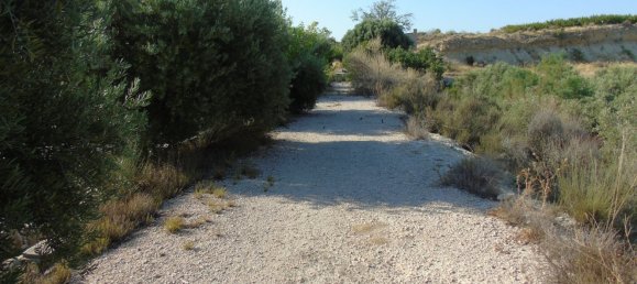 Terreno en Murcia, Spain No. 166401 19