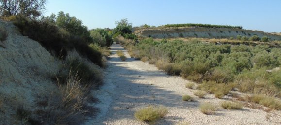 Terreno en Murcia, Spain No. 166401 13