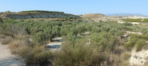 Terreno en Murcia, Spain No. 166401 14