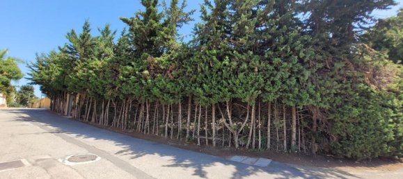 4 غرف نوم فيلا في Marbella, Spain رقم 256415 27