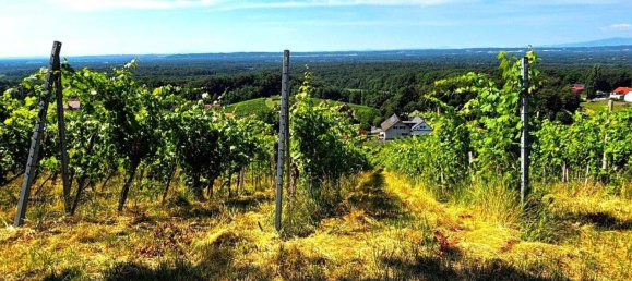 Castelos de 3 divisões em Kloch, Austria N.º 216031 19