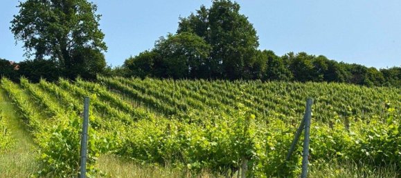 Castelos de 3 divisões em Kloch, Austria N.º 216031 18