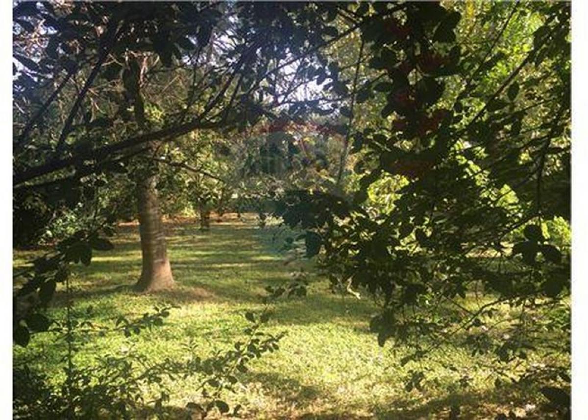 Grundstück in Pilar, Argentina, Nr. 50587