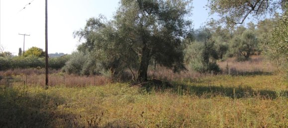 16000m² Hotel in Corfu, Greece No. 5494 15