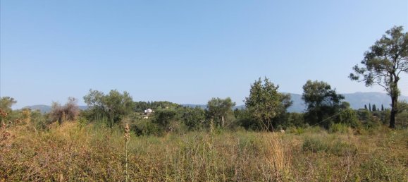 16000m² Hotel in Corfu, Greece No. 5494 26