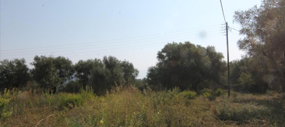 16000m² Hotel in Corfu, Greece No. 5494 29