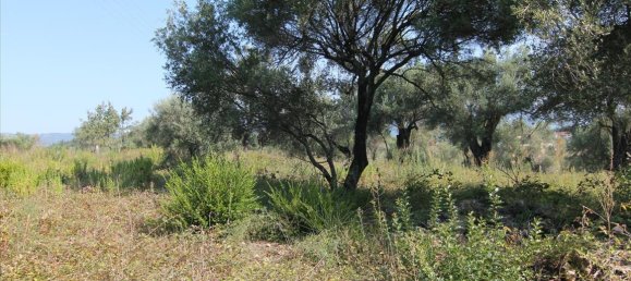 16000m² Hotel in Corfu, Greece No. 5494 19