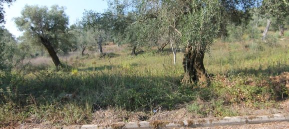 16000m² Hotel in Corfu, Greece No. 5494 5