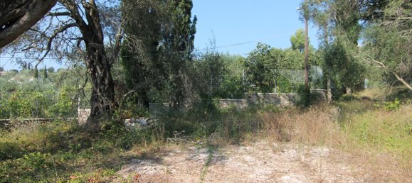 16000m² Hotel in Corfu, Greece No. 5494 17