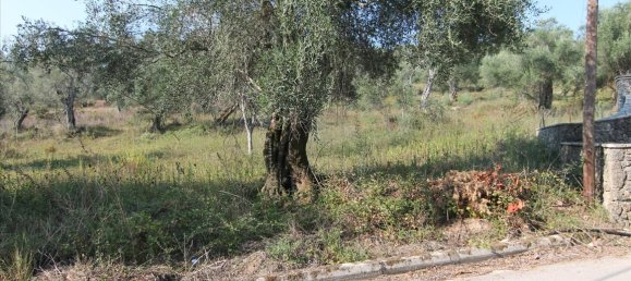 16000m² Hotel in Corfu, Greece No. 5494 6