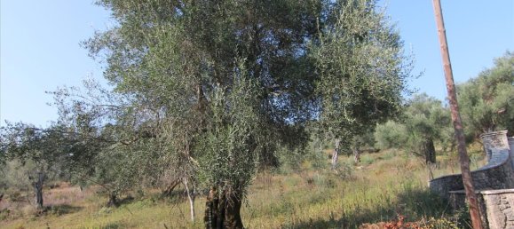 16000m² Hotel in Corfu, Greece No. 5494 8