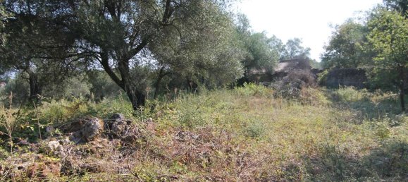 16000m² Hotel in Corfu, Greece No. 5494 22