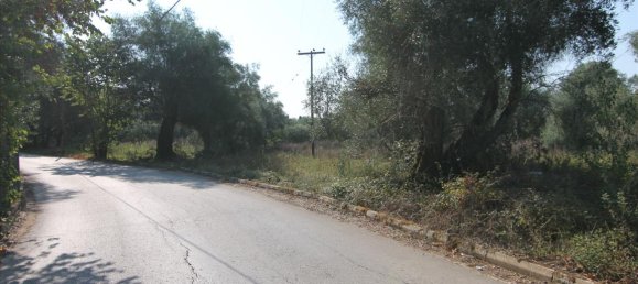 16000m² Hotel in Corfu, Greece No. 5494 4