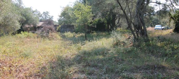 16000m² Hotel in Corfu, Greece No. 5494 24