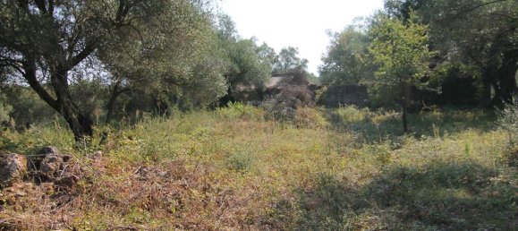 16000m² Hotel in Corfu, Greece No. 5494 23