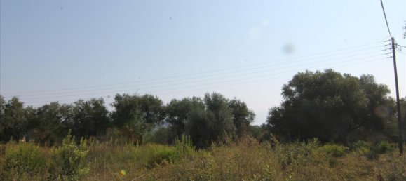 16000m² Hotel in Corfu, Greece No. 5494 30