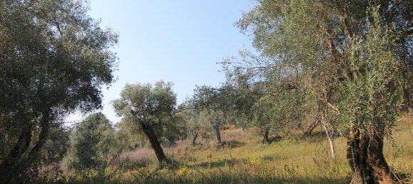 16000m² Hotel in Corfu, Greece No. 5494 10