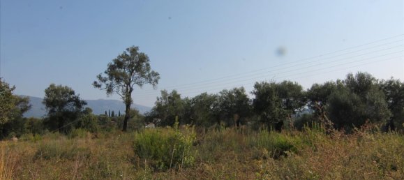 16000m² Hotel in Corfu, Greece No. 5494 27