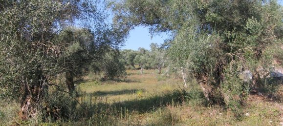 16000m² Hotel in Corfu, Greece No. 5494 12