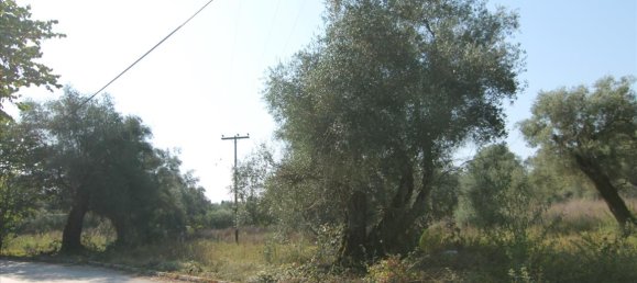 16000m² Hotel in Corfu, Greece No. 5494 11