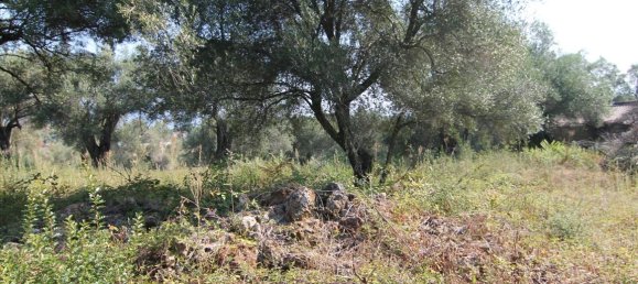 16000m² Hotel in Corfu, Greece No. 5494 21