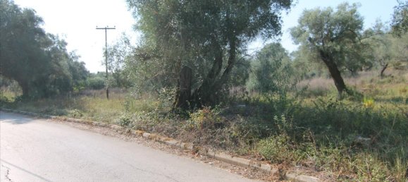 16000m² Hotel in Corfu, Greece No. 5494 3