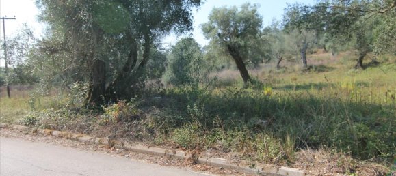 16000m² Hotel in Corfu, Greece No. 5494 2