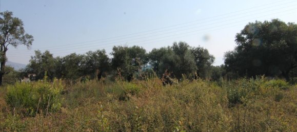 16000m² Hotel in Corfu, Greece No. 5494 28