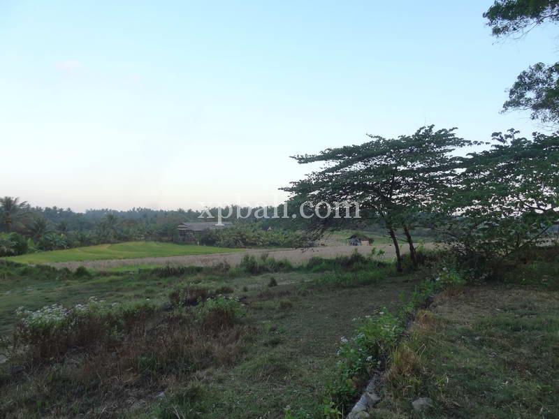 Terrain à Tabanan, Indonesia 3575m² No. 3775