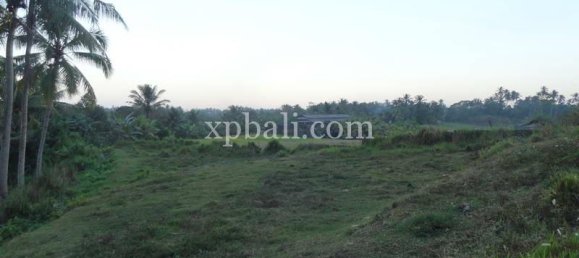 Terrain à Tabanan, Indonesia 3575m² No. 3775 3
