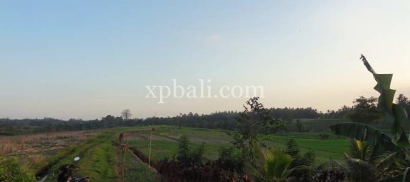 Terrain à Tabanan, Indonesia 3575m² No. 3775 8