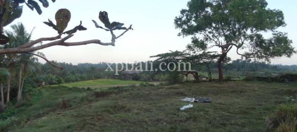 Terrain à Tabanan, Indonesia 3575m² No. 3775 6