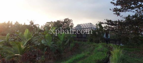 Terrain à Tabanan, Indonesia 3575m² No. 3775 9