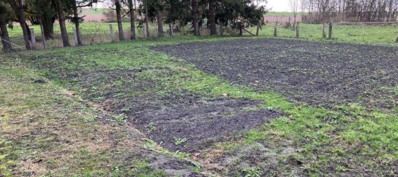 1 Schlafzimmer Schlösser in Demmin, Germany, Nr. 91706 12