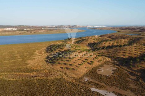 1623m² Land in Azinhal, Portugal No. 135535