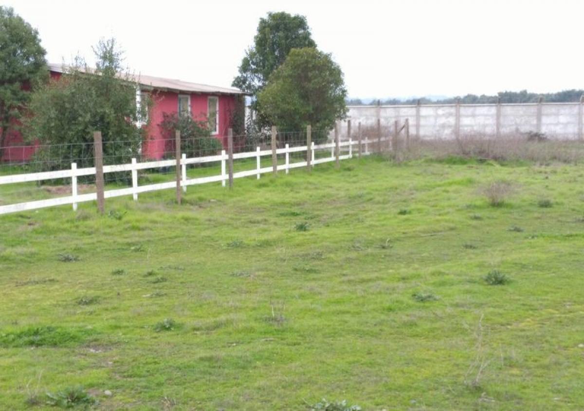  Land in Valparaiso, Chile No. 1219